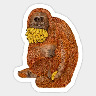 Happy to share... one Orangutan Sticker